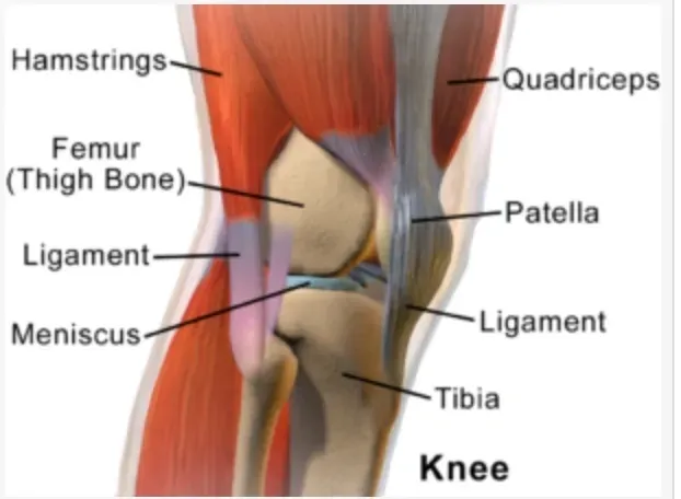 Anterior Knee Pain: What’s the Problem?